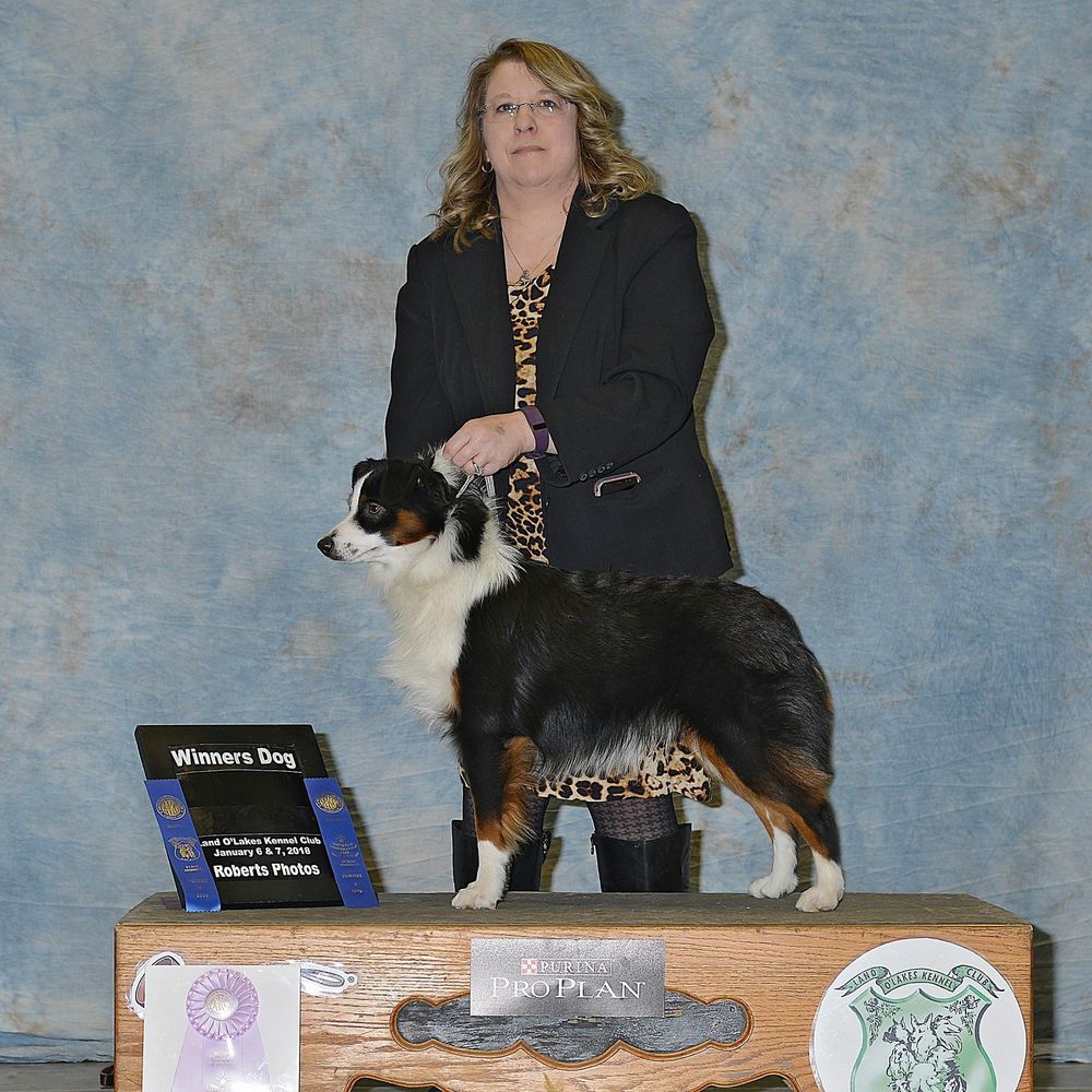 Meet your Posher, Kristin